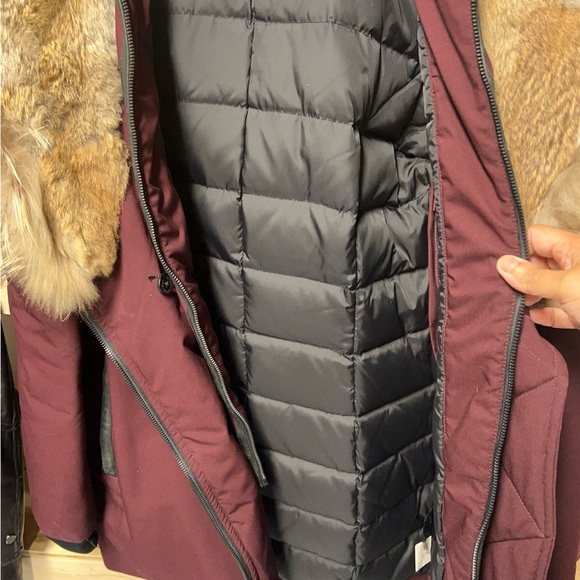Rudsak maroon Ski & Snow Jacket - Picture 5 of 8